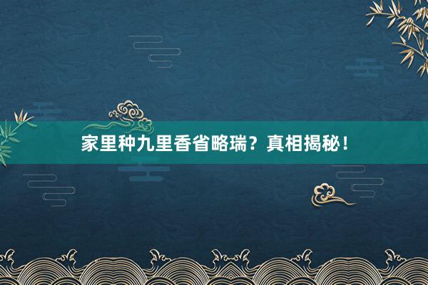 家里种九里香省略瑞？真相揭秘！