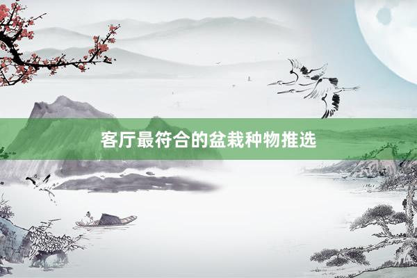 客厅最符合的盆栽种物推选
