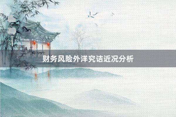 财务风险外洋究诘近况分析