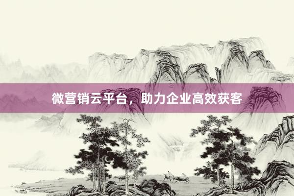微营销云平台，助力企业高效获客